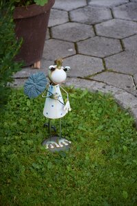 Umbrella grass path