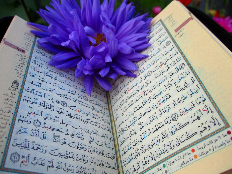 Muslims mosque islam