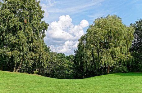 Green lung outside meadow