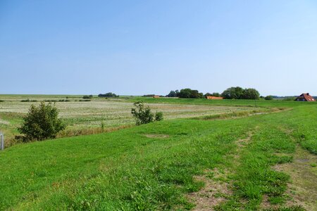 Idyll peaceful northern germany