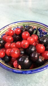 Nutrition red black