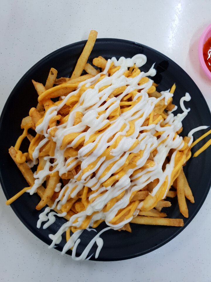 Cheese french fries