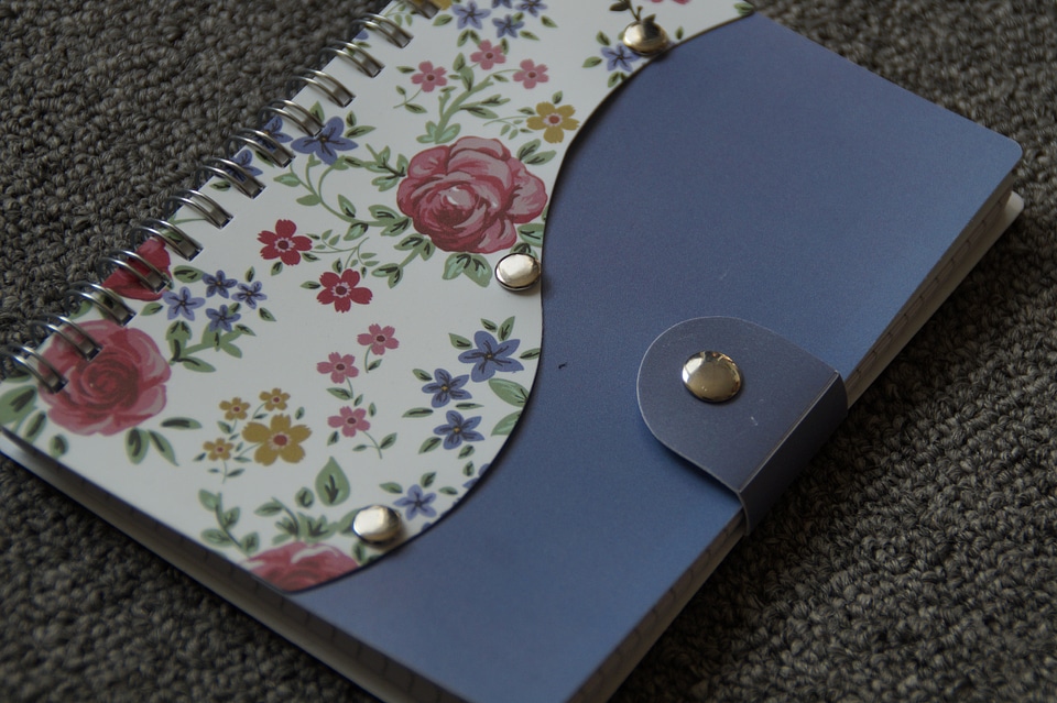 Diary romance bindung