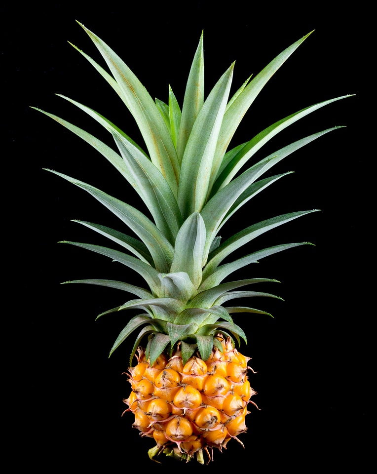 Fruit tropical delicious
