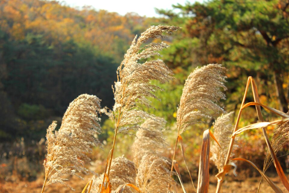 Nature park in autumn