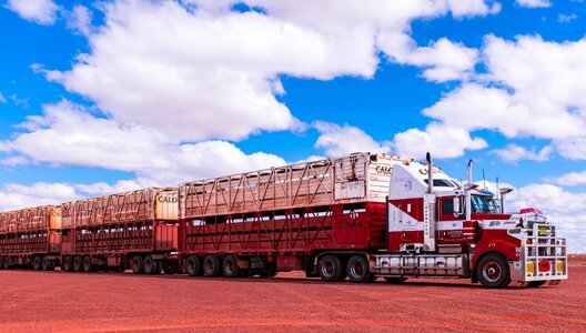Way transport travel