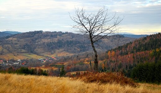 Meadow landscape mountains photo