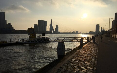 Rotterdam erasmus bridge low sun photo