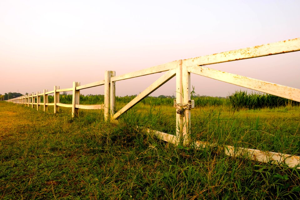 Fence with green grass fence grass