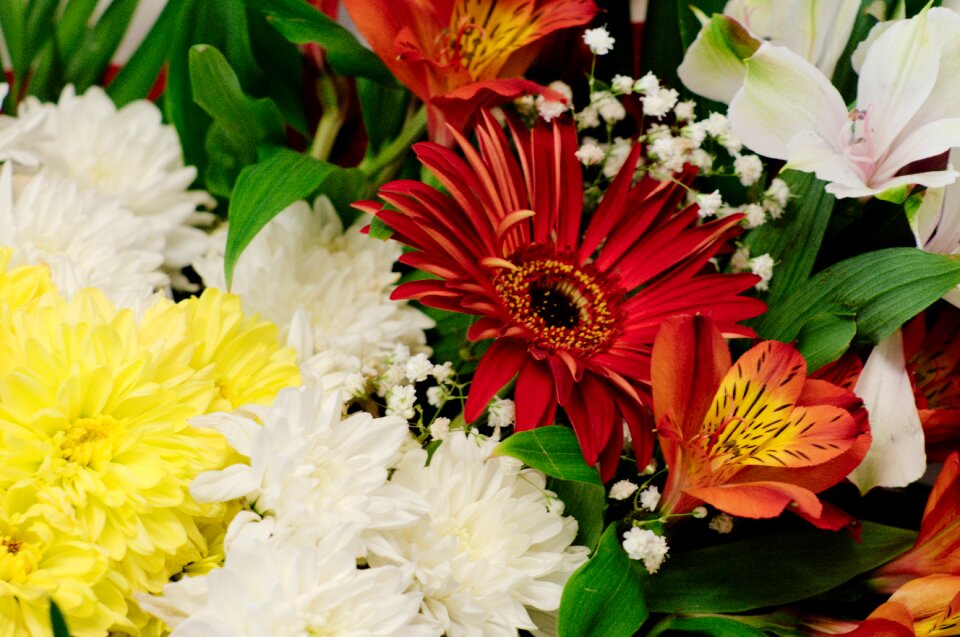 Flora flower bouquet