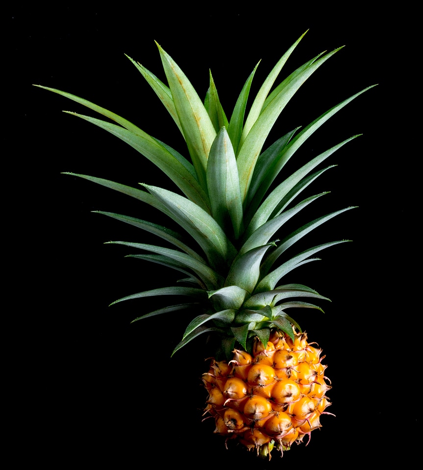 Fruit tropical delicious