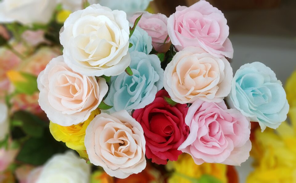 Flowers sophistication tenderness