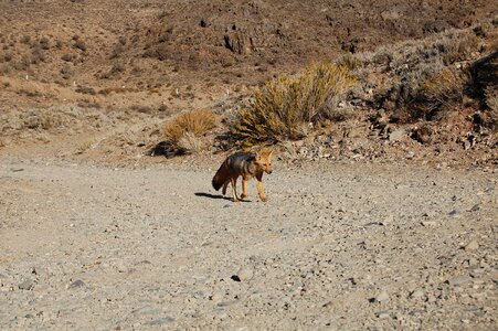 Argentina landscape nature photo