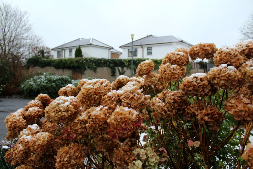 Ireland nature outdoors