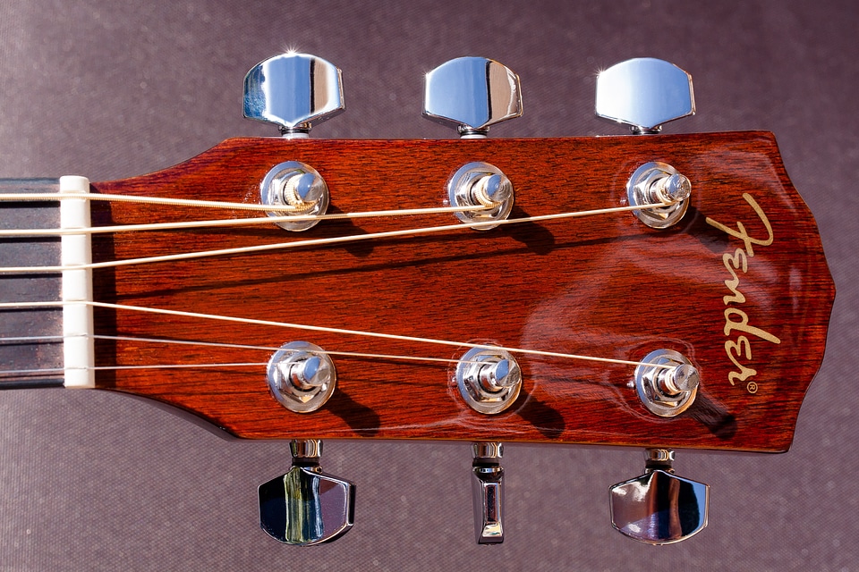 Musical instrument stringed instrument spieltechnik