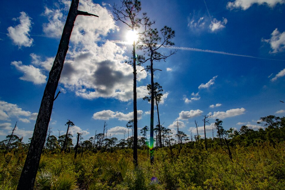 Clouds nature trails