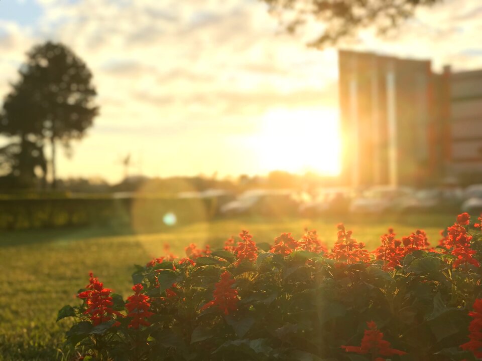 Sunset nature landscape