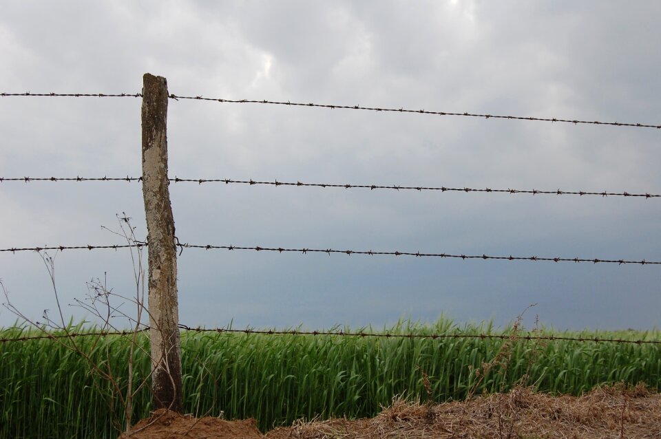 Wire landscape rural
