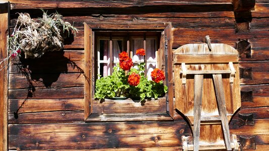 Building exterior woodhouse