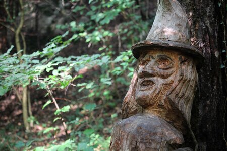 Wood magic fantasia