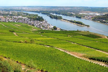 Rhine valley rüdesheim outlook photo