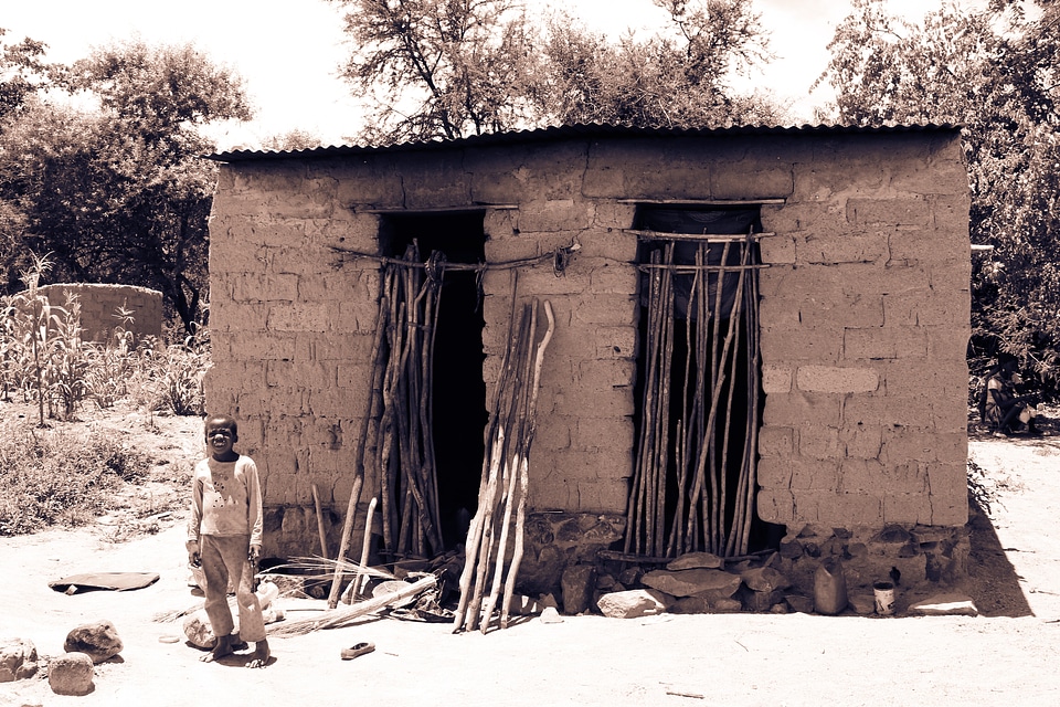 Hovel african black