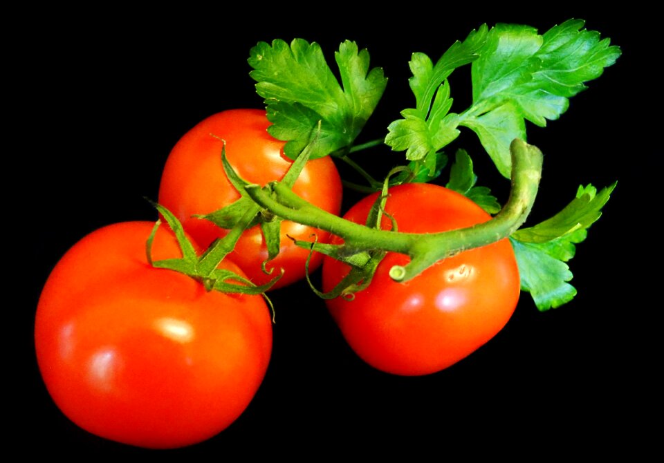 Food vegetarian diet