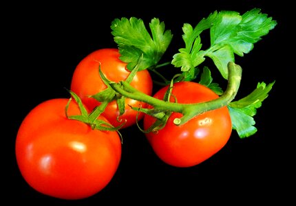 Food vegetarian diet
