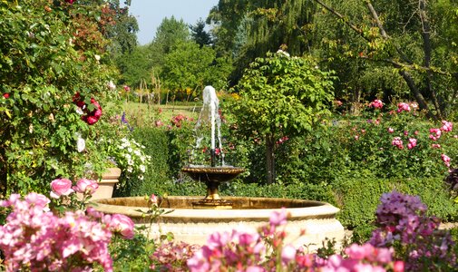 Summer water feature nature