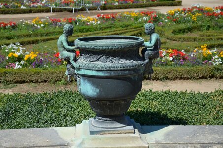 Flower decoration plant