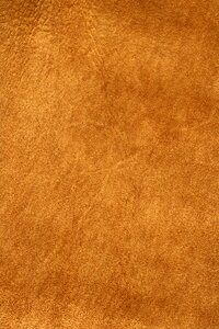 Tan animal livestock