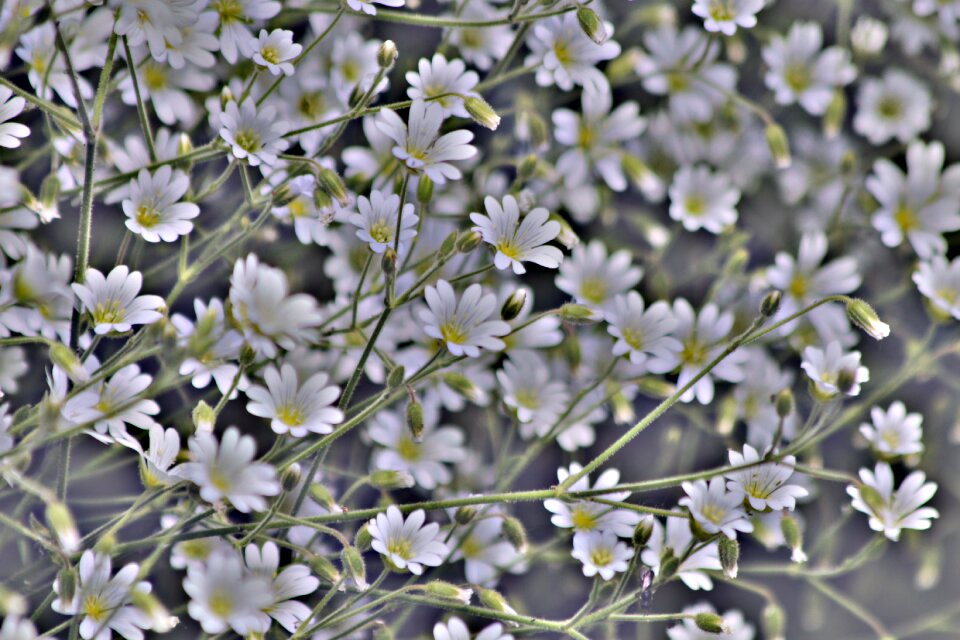 Texture grey design