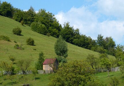 Carpathian mountains tourism landscape photo