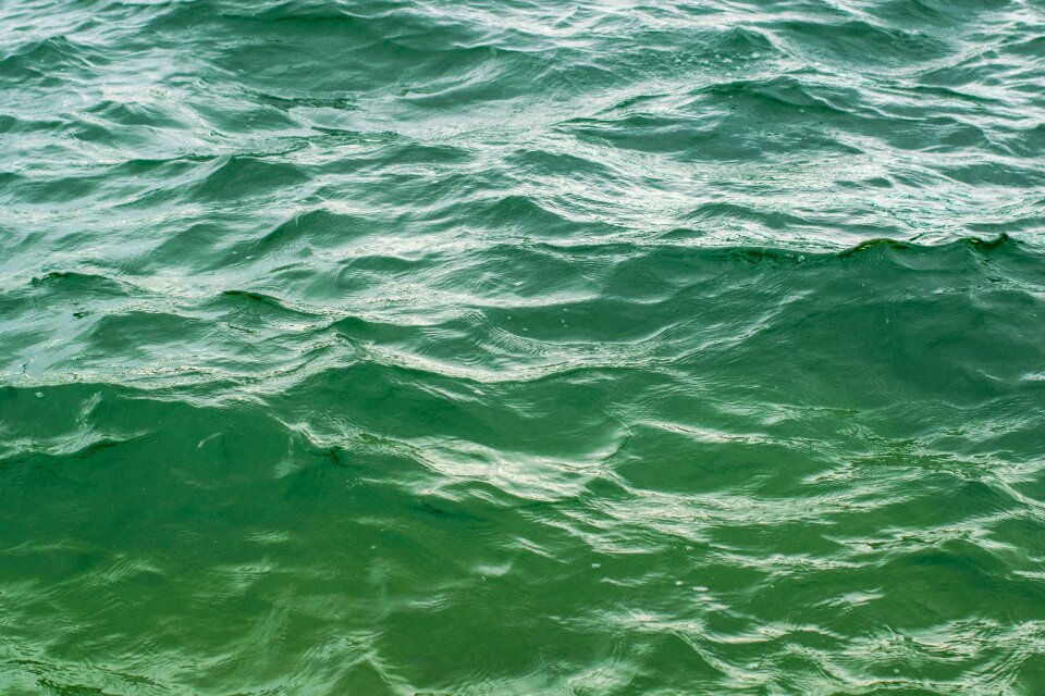 Green nature lake