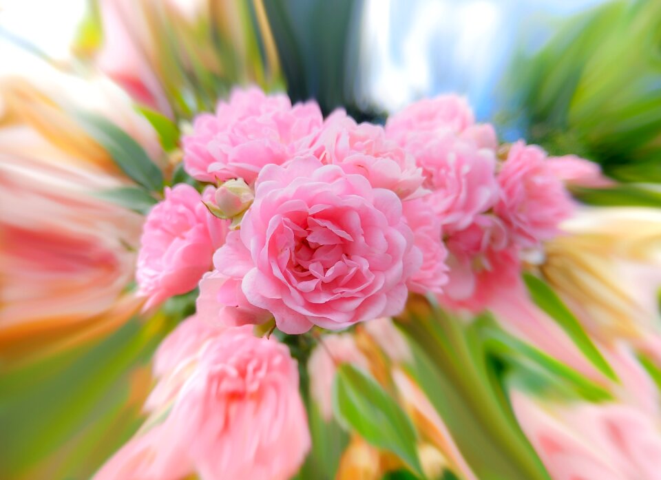 Effect distortion bloom