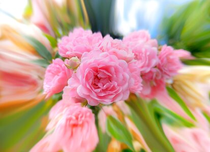 Effect distortion bloom