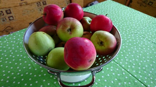 Apple fruit summer photo