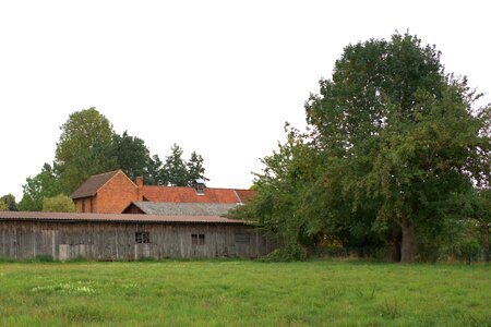 Agriculture farm wood