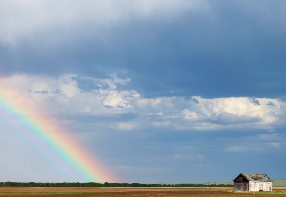 Countryside scenery summer