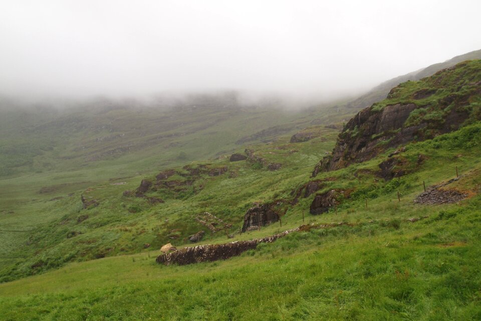 Nature landscape fog