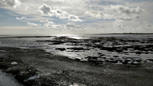 Water coast nature