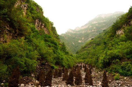 Mountains quiet the fog photo