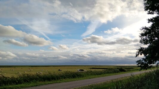 Nature pasture landscape
