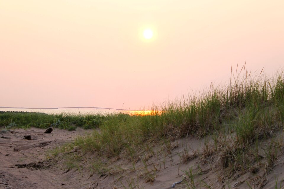 Beach ocean summer