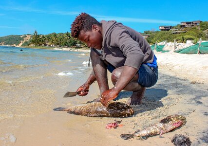 Fishing man fish