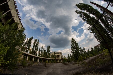 Infested was chernobyl photo