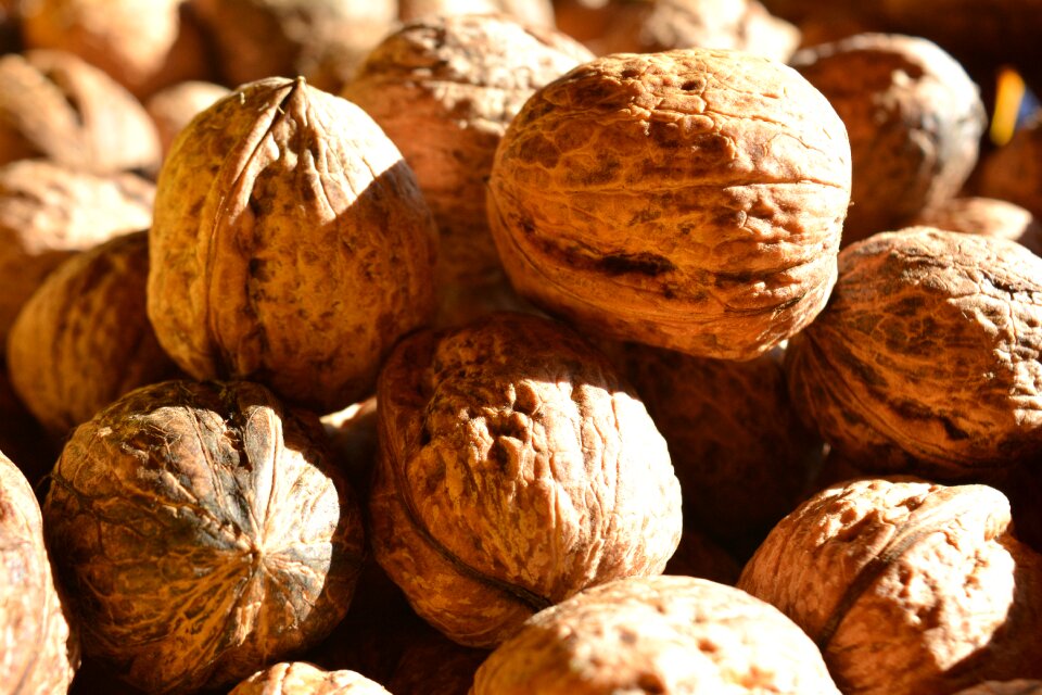 Christmas light nuts