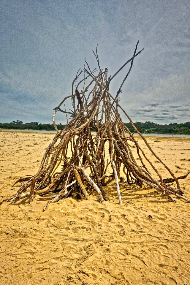 Wooden beach
