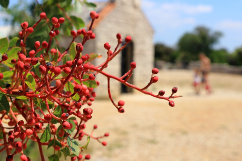 Summer chapel religion