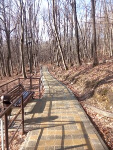 Trail maykop creek